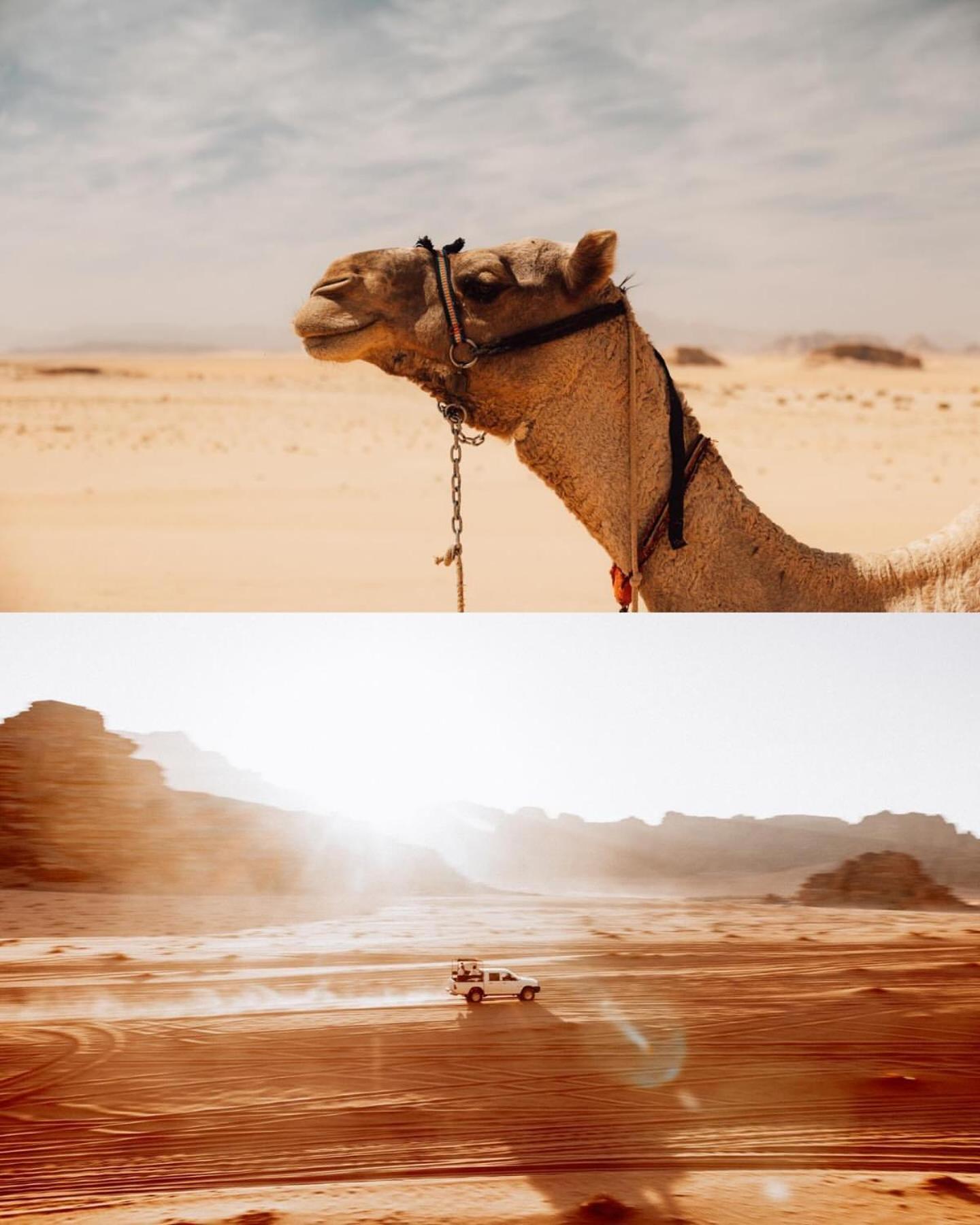 Rum Luxury Camp Wadi Rum Buitenkant foto