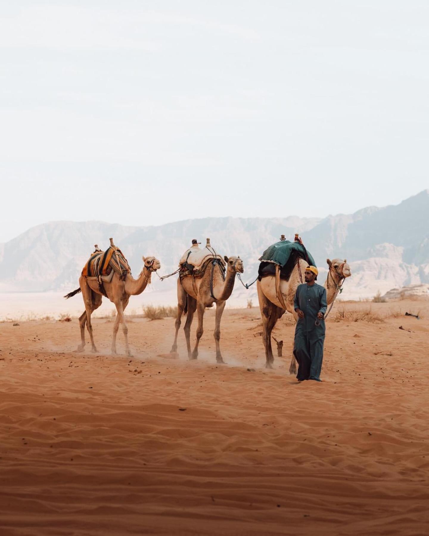 Rum Luxury Camp Wadi Rum Buitenkant foto