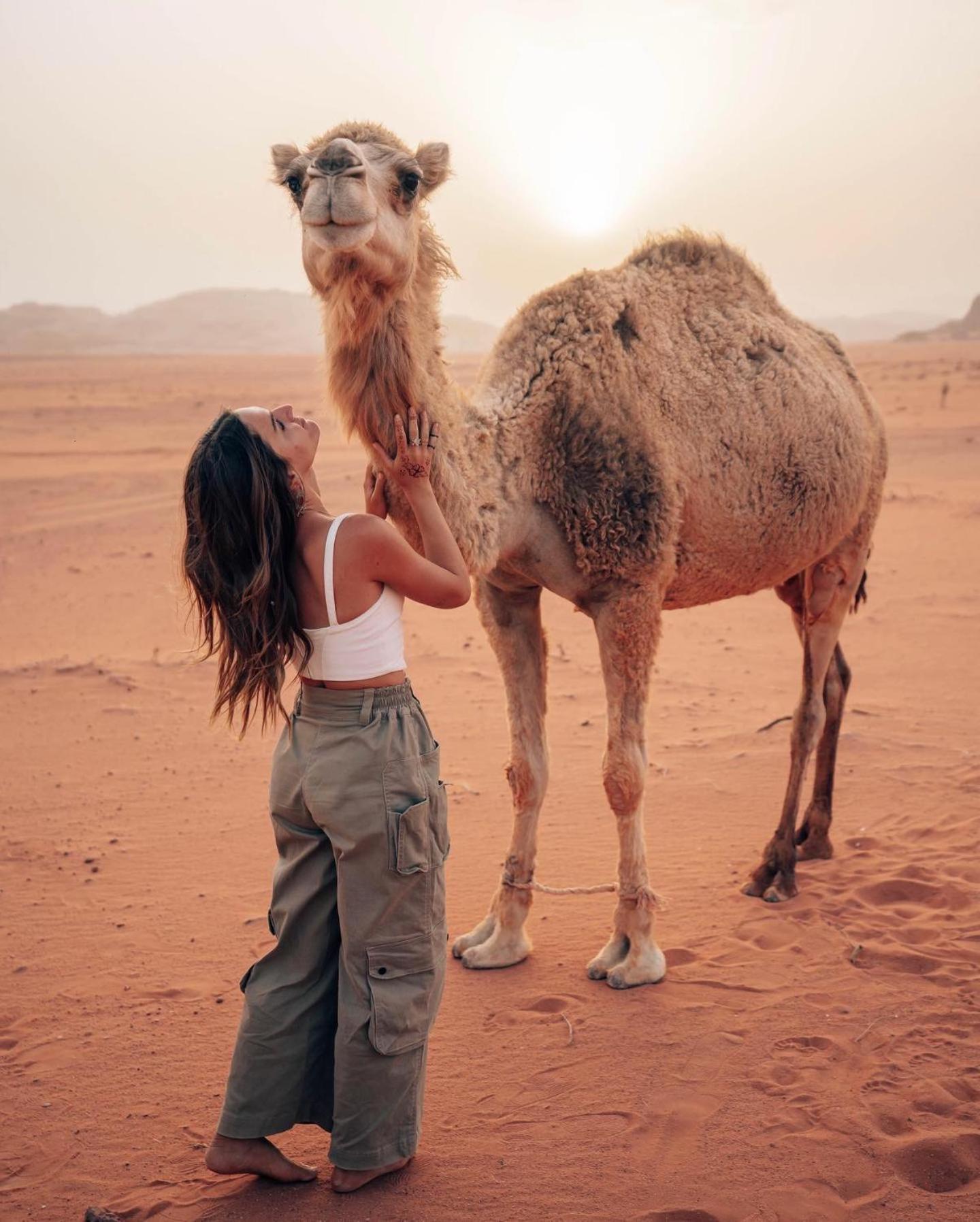 Rum Luxury Camp Wadi Rum Buitenkant foto